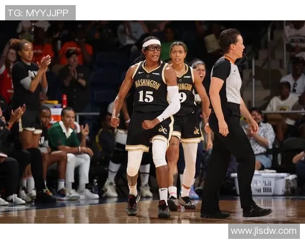 芝加哥天空与狂热对决前瞻分析及胜负预测解析